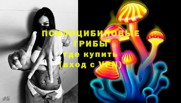 молекула духа Наволоки