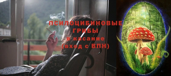 спайс Нея