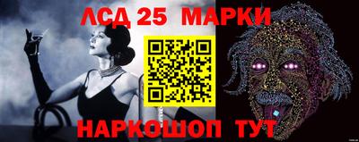 крисы Гай