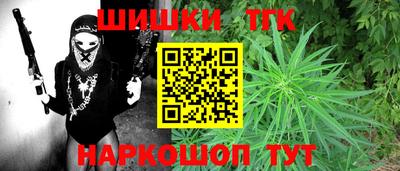 крисы Гай