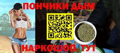 крисы Гай