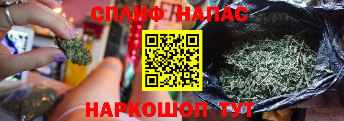 Конопля гибрид  Каннабис Amnesia  Избербаш  Шишки марихуана THC 21% 