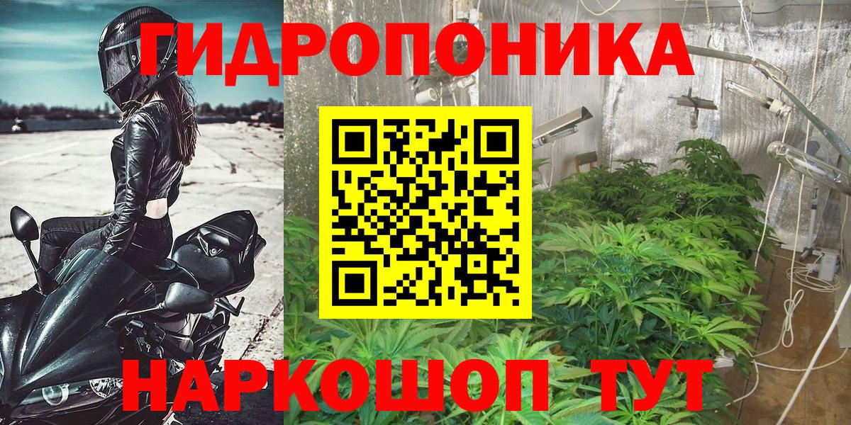 Избербаш  Шишки марихуана планчик  Марихуана сатива  Вход с VPN  Шишки марихуана Ganja 